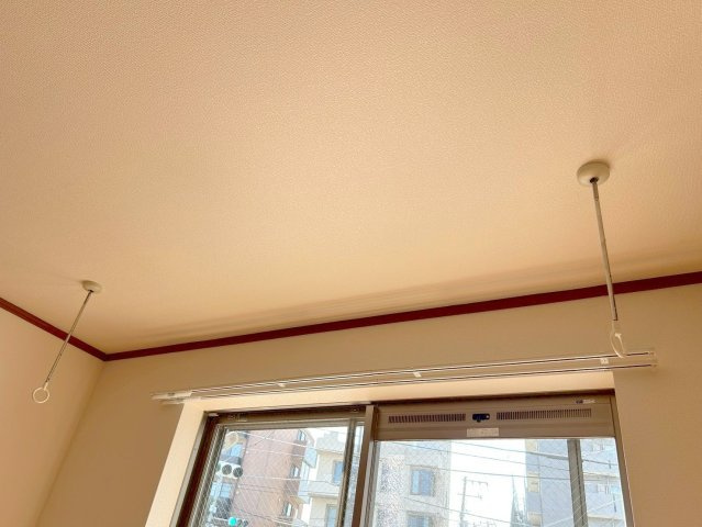 ＭＡＩＳＯＮ　ＦＵＲＵＫＩの展望