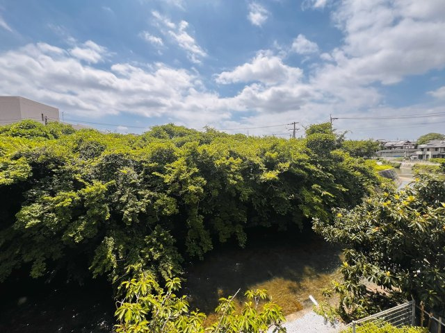 サンシャインハイツの展望