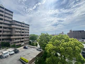 【展望】 | ジオ緑地公園6番館