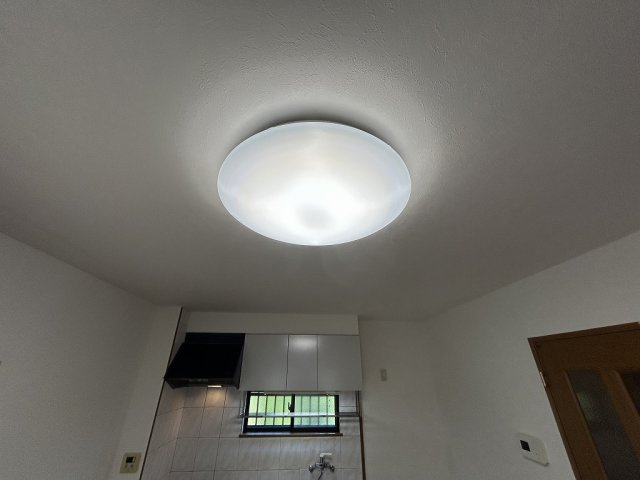 フェリスのその他