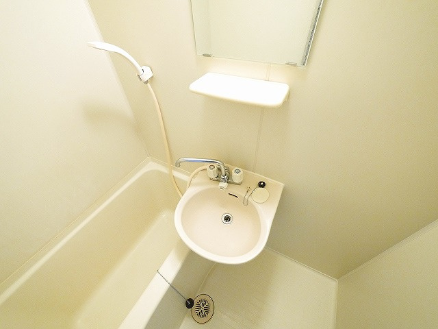 グレイスフローラ富雄の洗面所