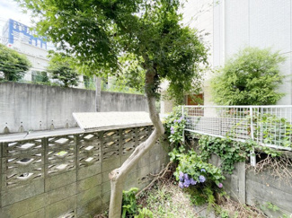 【展望】 | バルコニーからの眺望