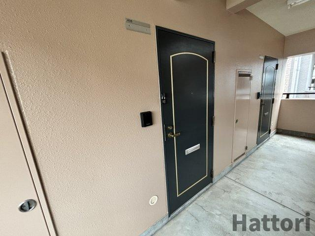 カサミラのその他