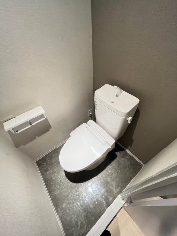 大阪市城東区中央２丁目の賃貸マンションのトイレ