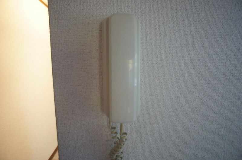 パイントリーＩ のセキュリティ