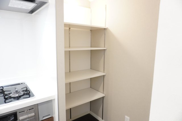 越谷市大間野町5丁目 中古戸建の収納|パントリー