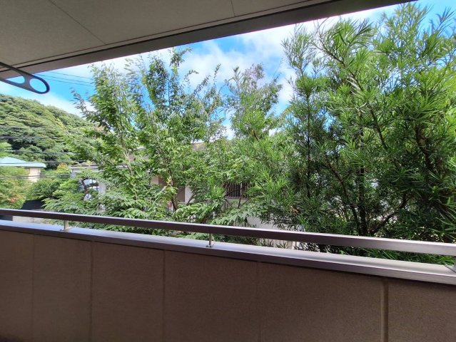 メゾン佐介ヶ谷の展望