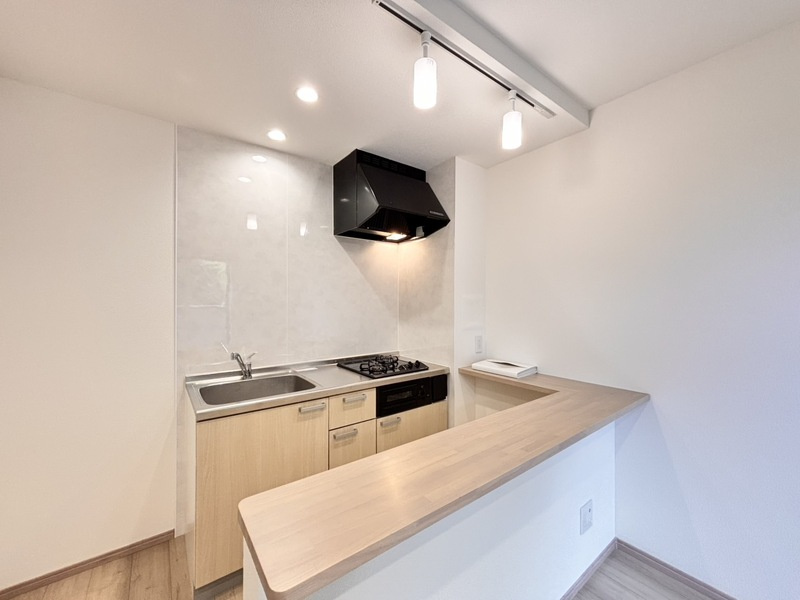 セレン神園のキッチン