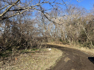 【外観】 | 上愛子小塩前　土地