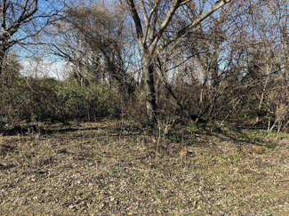 【外観】 | 上愛子小塩前　土地