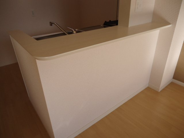 ブオナ　レーガⅡのその他|カウンター