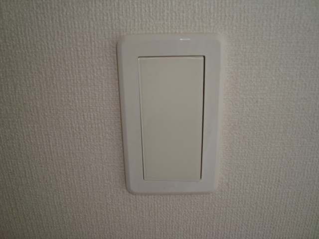 リッツ・ハイムのその他|ワイドスイッチ