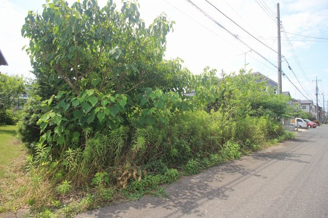 小山市美しが丘2丁目の外観|南側より（2025年7月撮影）