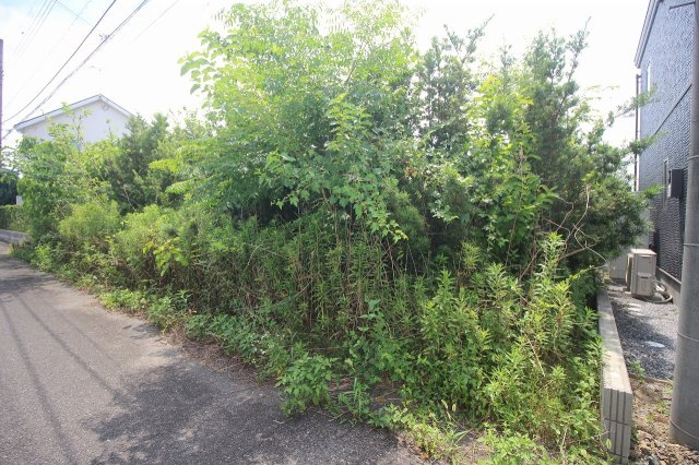 小山市美しが丘2丁目の外観|東側より（2025年7月撮影）