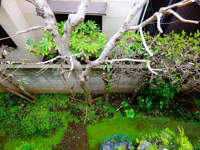 冨澤コーポの展望