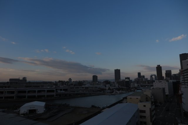 シャルマンフジ阿波座ウエストの展望