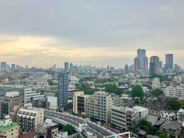 白金ザ・スカイＷ棟の展望| 