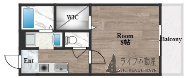 ミラーハイツIIIの間取り