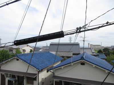 【展望】 | Citrine