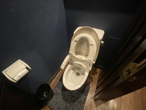 西中洲居抜のトイレ