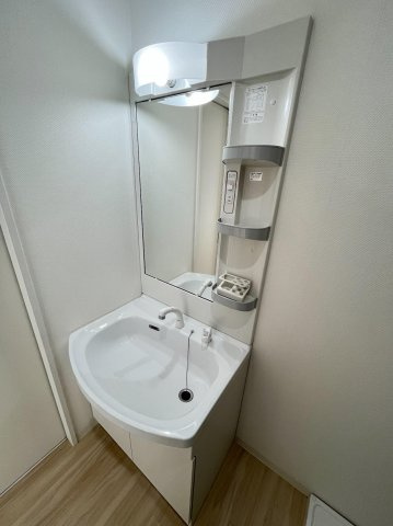 ノブリスA棟の洗面所