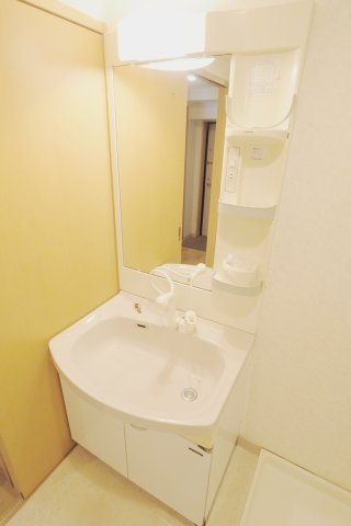 Caro Casa Aの洗面所