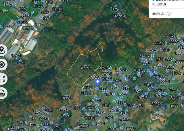 [山林]高崎市鼻高町1892-2,3(一部青地)の土地図
