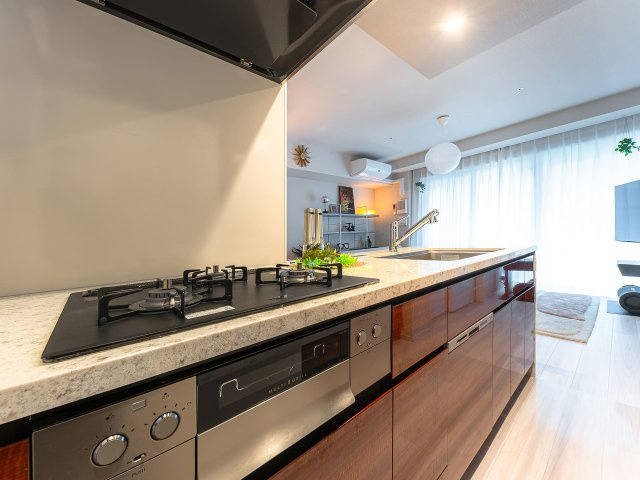 Sun Village B棟 5階のキッチン