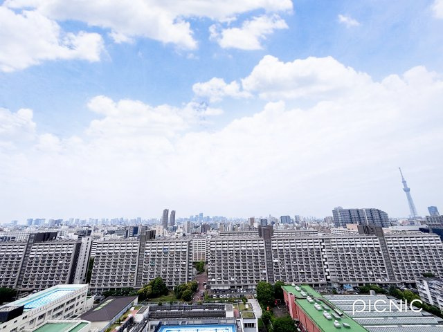 イーストパークス大島セントラルスクエアの展望