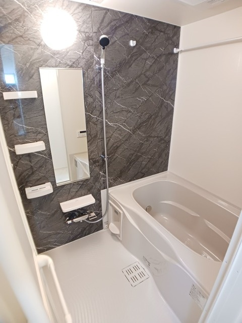 ヴィアアルスⅡの洗面所