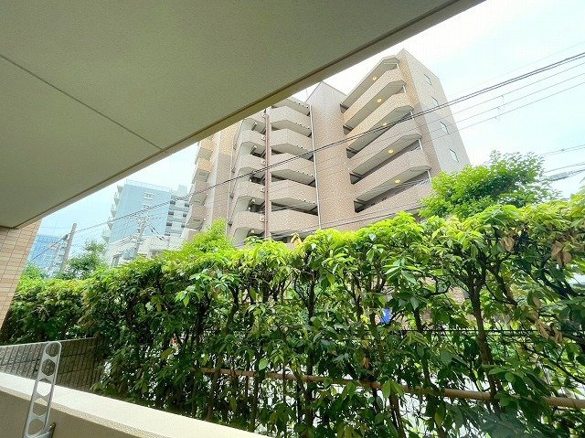 メゾンラリーブの展望