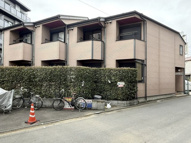 ブラウンコートⅡの画像