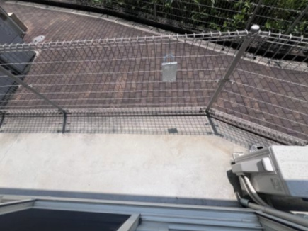 ヴァンドミール流田のその他