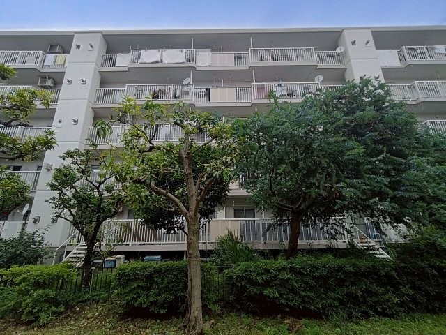 三郷早稲田団地3-23-2号棟の外観|外観です