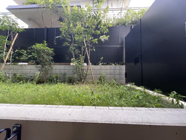 【展望】