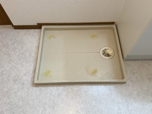 キャメルハウスＡのその他