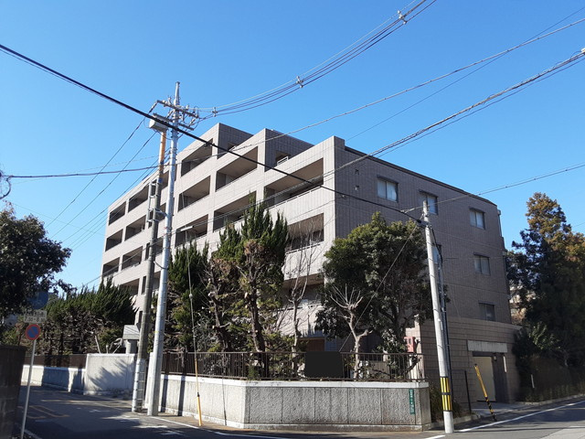 フォレストコート