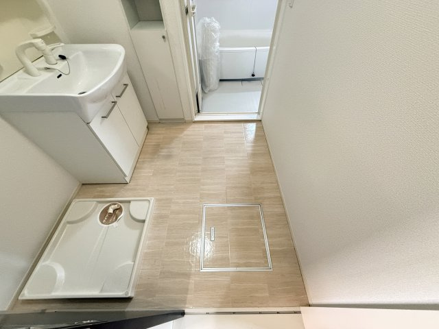 グランディオ B棟の洗面所