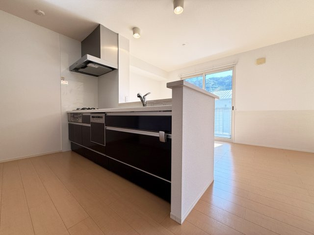 グランディオ B棟のキッチン