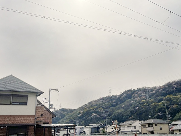 ウィット Nの展望