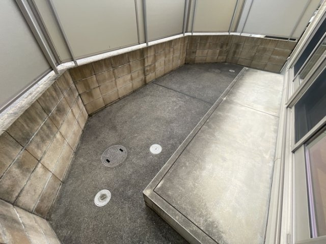 ウィット Nの庭