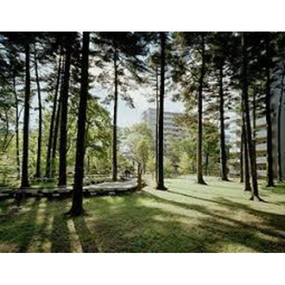 【周辺】 | キャッスル・日野台 | 公園「日野緑地まで536ｍ」