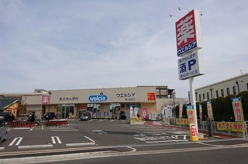 堺市西区堀上緑町　新築一戸建ての周辺|ウエルシア堺上野芝店まで840m