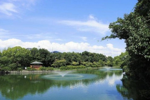 堺市西区堀上緑町　新築一戸建ての周辺