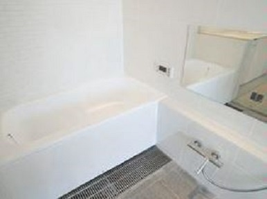 港区南麻布５丁目の賃貸マンションの浴室