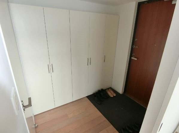 港区南麻布５丁目の賃貸マンションの玄関