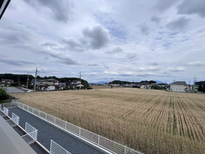 【展望】 | BlueberryB