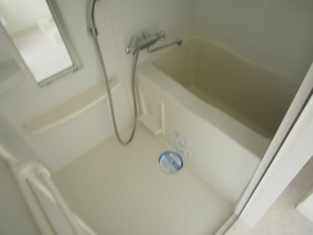 ルネ日本橋アネーロの浴室