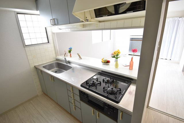 マックプレジデンス戎のキッチン