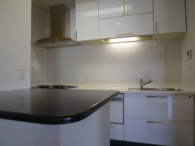 フェニックス日本橋高津のキッチン